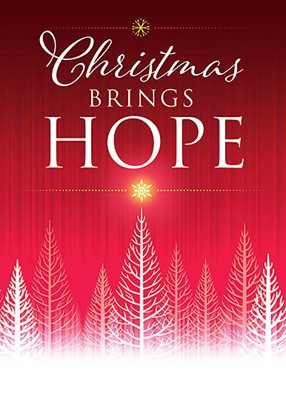 Christmas Brings Hope Boxed Cards (pack of 12) (Cards)