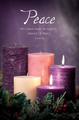 Peace Advent Bulletin (pack of 100) (Bulletin)