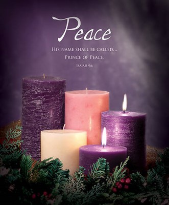 Peace Advent Large Bulletin (pack of 100) (Bulletin)