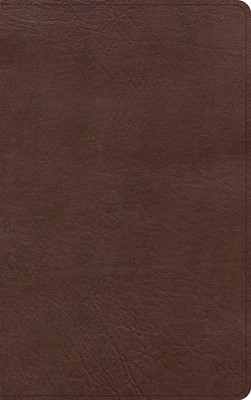 KJV Single-Column Personal Size Bible, Black/Brown (Imitation Leather)