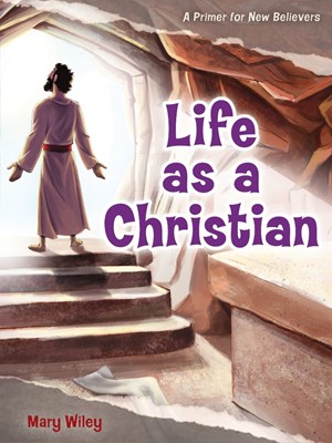 Life as a Christian (Paperback)