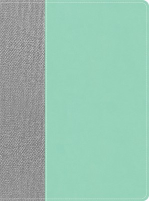 Lifeway Women's Bible, Gray/Mint LeatherTouch, Indexed (Imitation Leather)