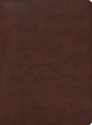 CSB Apologetics Study Bible for Students, Brown LeatherTouch (Imitation Leather)