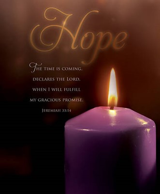 Hope Scripture Advent Large Bulletin (pack of 100) (Bulletin)