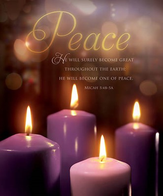 Peace Scripture Advent Large Bulletin (pack of 100) (Bulletin)