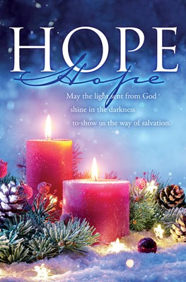 May the Light Advent Bulletin (pack of 100) (Bulletin)
