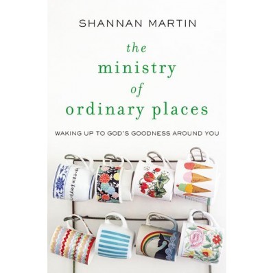 The Ministry Of Ordinary Places (Paperback)