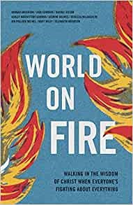 World on Fire (Paperback)