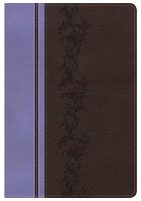 KJV Rainbow Study Bible, Brown/Lavender, Indexed (Imitation Leather)