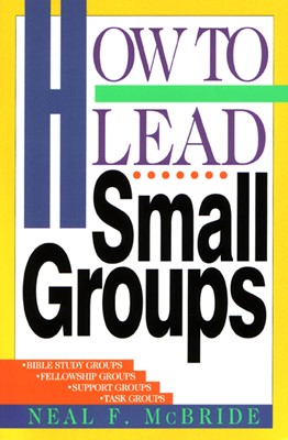 How to Lead Small Groups (Paperback)