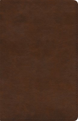 ESV Spanish/English Parallel Bible (Imitation Leather)