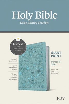 KJV Personal Size Giant Print Bible, Filament Edition, Teal (Imitation Leather)