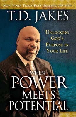 When Power Meets Potential (Paperback)