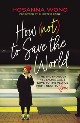 How (Not) to Save the World (Paperback)