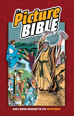 The Picture Bible (Hard Cover)