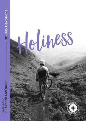 Holiness: Food for the Journey (Paperback)