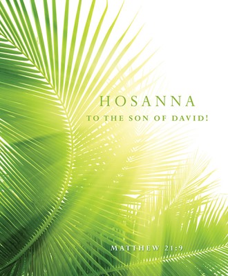 Hosanna Palm Sunday Bulletin, Large (Pkg of 50) (Bulletin)