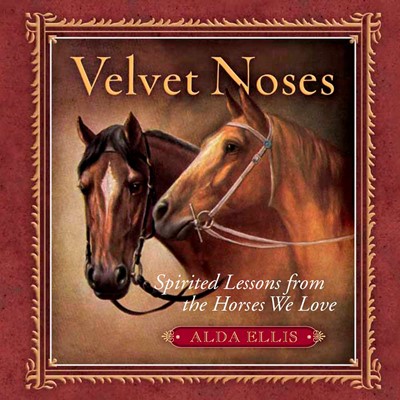 Velvet Noses (Hard Cover)