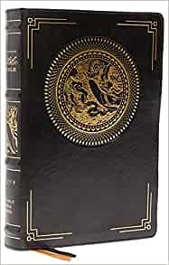 NRSVCE Illustrated Catholic Bible (Imitation Leather)