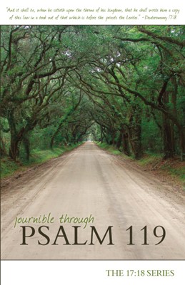 Journible Through Psalm 119 (Paperback)