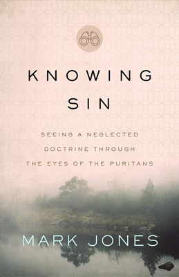 Knowing Sin (Paperback)