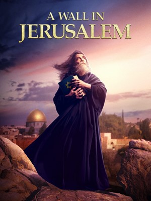 Wall in Jerusalem DVD, A (DVD)