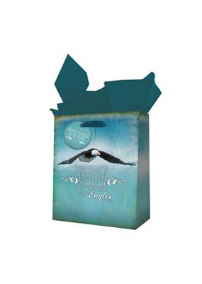 Eagles Small Gift Bag (General Merchandise)