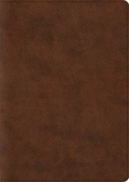 ESV Archaeology Study Bible (TruTone, Brown) (Imitation Leather)