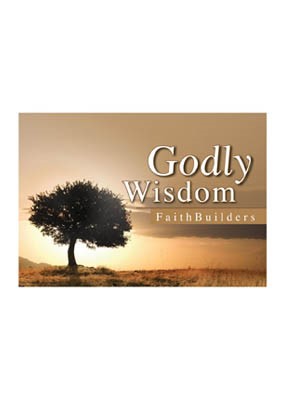 Faithbuilders: Godly Wisdom (Cards)