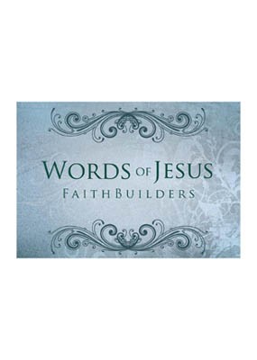 Faithbuilders: Words of Jesus (Cards)