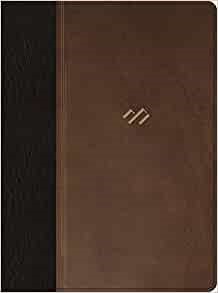 RVR 1960 Biblia temática de estudio, marrón oscuro/marrón pi (Imitation Leather)