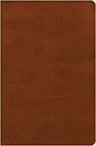 NASB Giant Print Reference Bible, Burnt Sienna LeatherTouch (Imitation Leather)