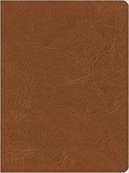 CSB He Reads Truth Bible, Saddle LeatherTouch, Indexed (Imitation Leather)