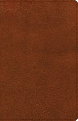 CSB Thinline Bible, Burnt Sienna LeatherTouch (Imitation Leather)