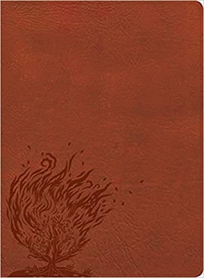 CSB Experiencing God Bible, Burnt Sienna LeatherTouch (Imitation Leather)