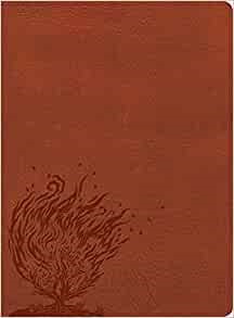 CSB Experiencing God Bible, Burnt Sienna, Indexed (Imitation Leather)