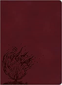 CSB Experiencing God Bible, Burgundy LeatherTouch (Imitation Leather)
