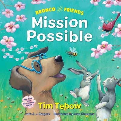 Bronco and Friends: Mission Possible (Hard Cover)