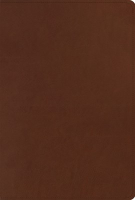 ESV Men's Study Bible (TruTone) (Imitation Leather)