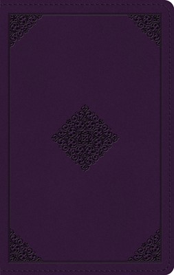 ESV Large Print Personal Size Bible (TruTone) (Imitation Leather)