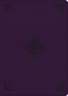 ESV Single Column Journaling Bible, Large Print (Cover A) (Imitation Leather)