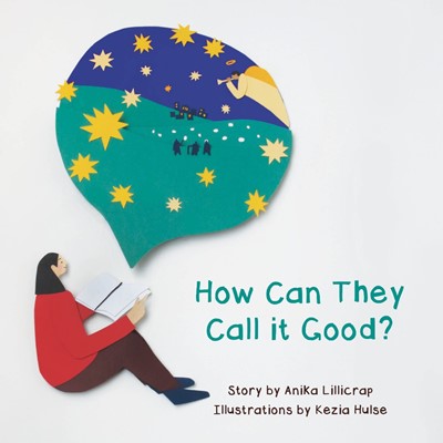 How Can They Call it Good? (Paperback)