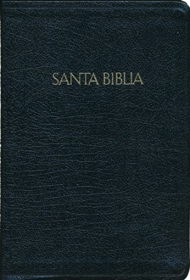 RVR 1960 Biblia Letra Grande Tamaño Manual, negro, piel fabr (Bonded Leather)