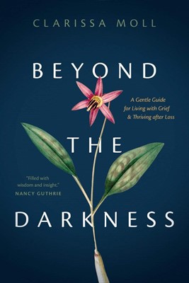Beyond the Darkness (Paperback)