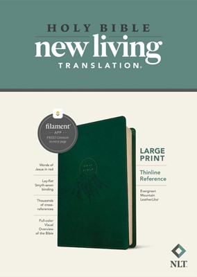 NLT Large Print Thinline Reference Bible, Filament Edition (Imitation Leather)