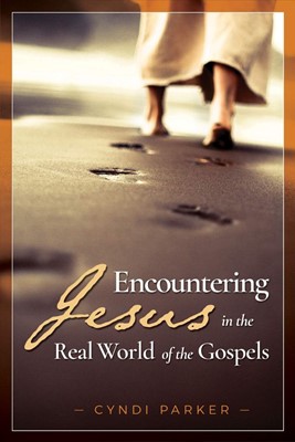 Encountering Jesus in the Real World of the Gospels (Paperback)