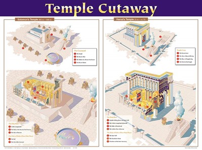 Temple Cutaway Wall Chart (Poster)