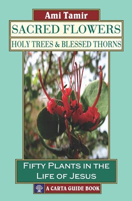Sacred Flowers, Holy Trees and Blessed Thorns (Paperback)