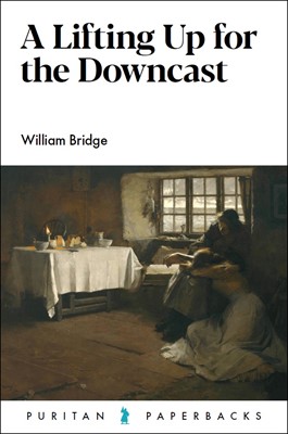 Lifting Up for the Downcast, A (Paperback)
