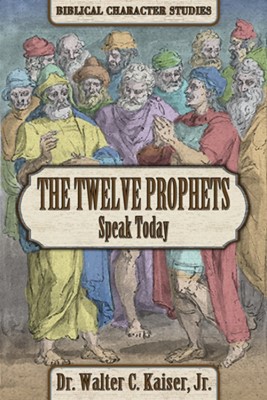 The Twelve Minor Prophets Speak Today (Paperback)